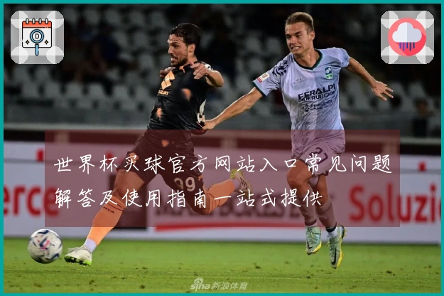 世界杯买球官方网站入口常见问题解答及使用指南一站式提供