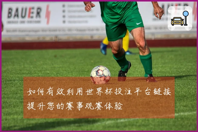 如何有效利用世界杯投注平台链接提升您的赛事观赛体验