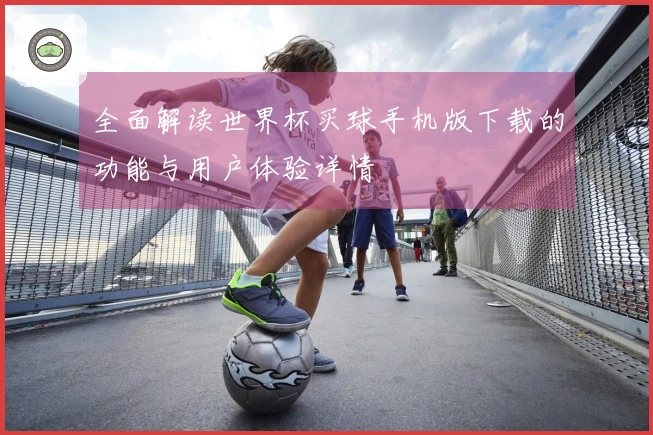 全面解读世界杯买球手机版下载的功能与用户体验详情