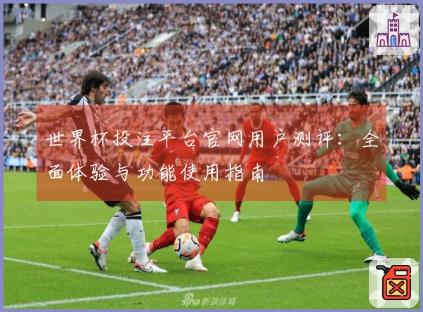 世界杯投注平台官网用户测评：全面体验与功能使用指南