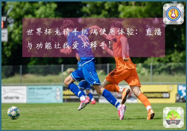 世界杯竞猜手机端使用体验：直播与功能让我爱不释手！