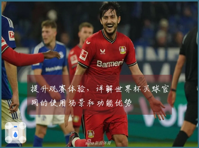 提升观赛体验，详解世界杯买球官网的使用场景和功能优势