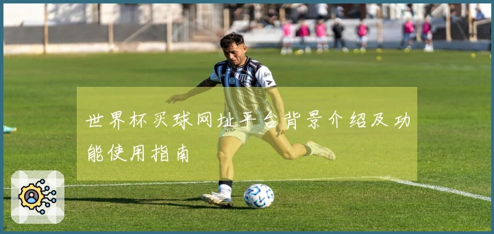 世界杯买球网址平台背景介绍及功能使用指南