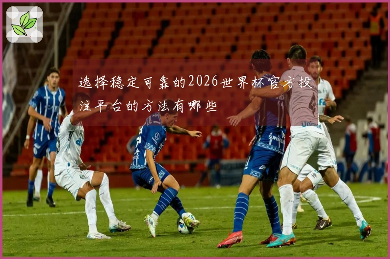 选择稳定可靠的2026世界杯官方投注平台的方法有哪些