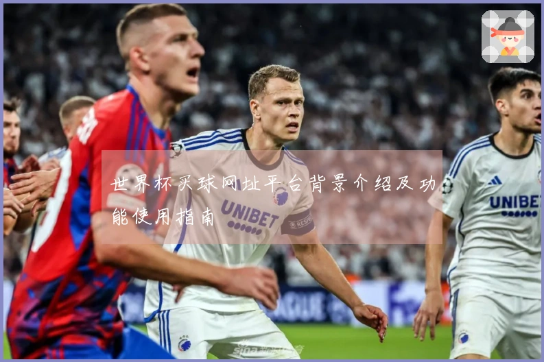 世界杯买球网址平台背景介绍及功能使用指南