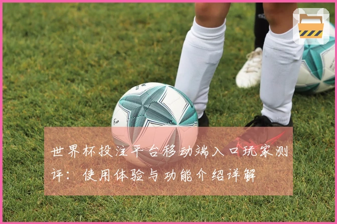 世界杯投注平台移动端入口玩家测评：使用体验与功能介绍详解