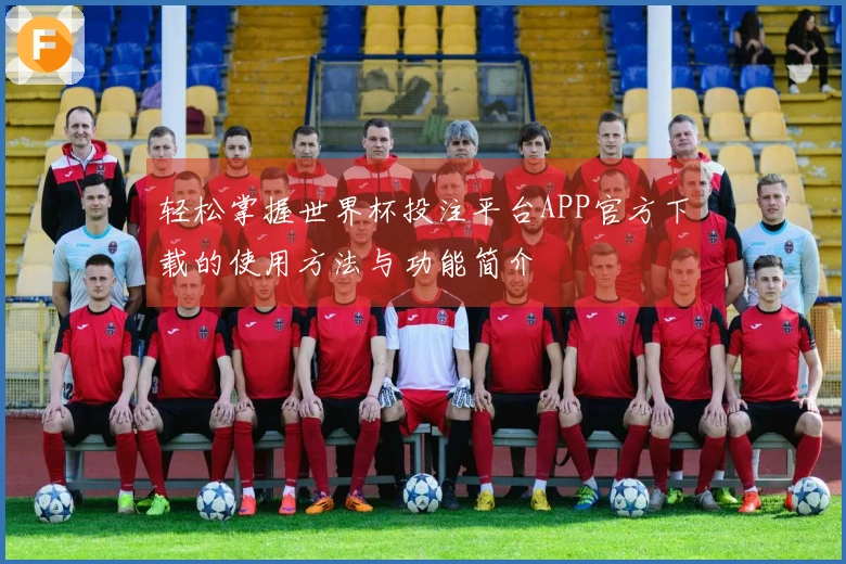 轻松掌握世界杯投注平台APP官方下载的使用方法与功能简介