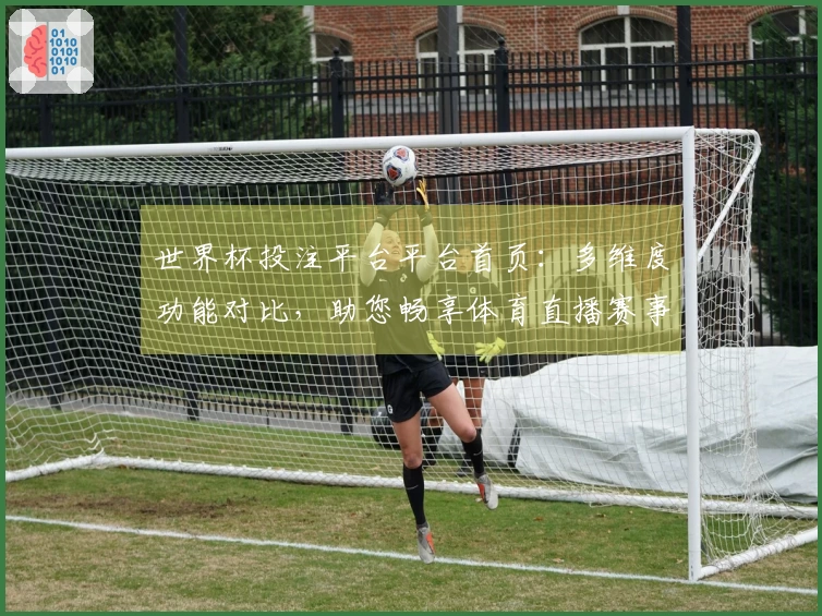 世界杯投注平台平台首页：多维度功能对比，助您畅享体育直播赛事全体验