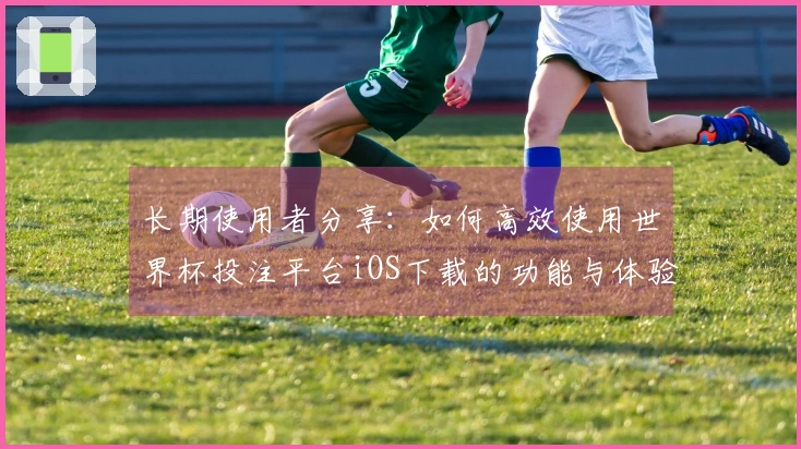 长期使用者分享：如何高效使用世界杯投注平台iOS下载的功能与体验总结